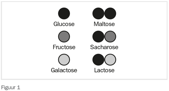 mono en disachariden